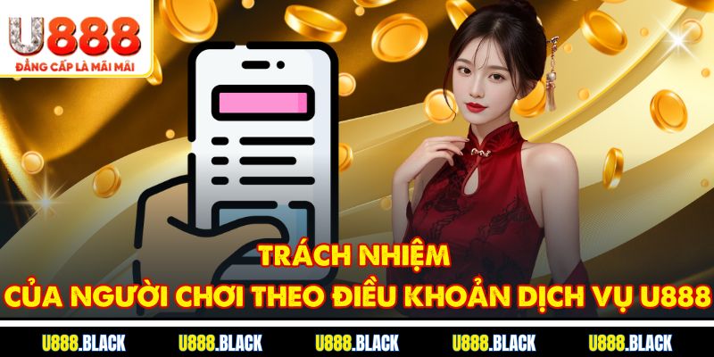 Trách nhiệm của người chơi theo điều khoản dịch vụ U888